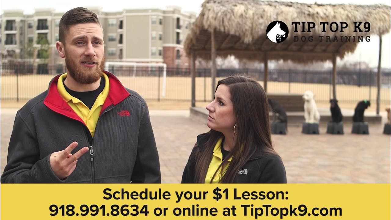 Tip Top K9 About Us YouTube