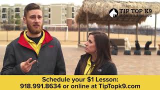 Tip Top K9 | About Us