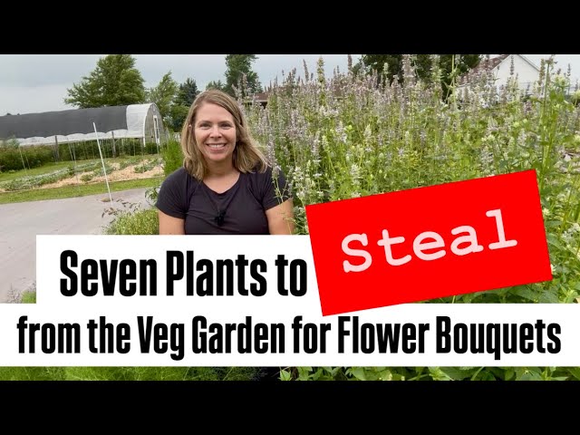 7 Plants to Steal from Your Veg Garden for Cut Flower Bouquets : flower farming : Zone 5 :