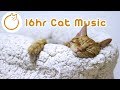 EXTRA LONG Cat Relaxation Music! New 2019🐈