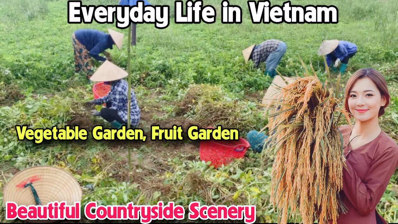 Daily Life in Vietnam #2: The Stunning Landscapes of the Vietnamese Countryside