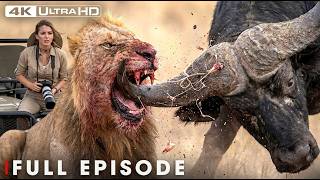 AFRICA'S DEADLIEST | The Ultimate Survival Instinct (Full Episode) | Nature Animal Documentary