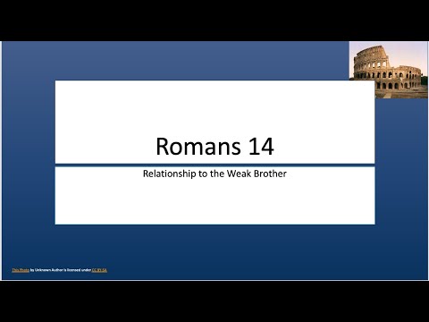 Video preview