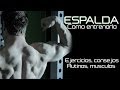 COMO ENTRENAR LA ESPALDA | TODO LO NECESARIO | EJERCICIOS Y TECNICA CORRECTA