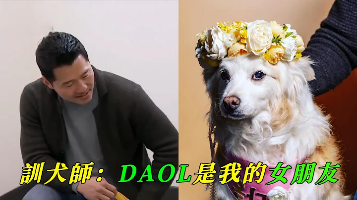 向爱犬说再见有多困难，姜训犬师和爱犬Daol的故事（从相遇到离别，催人泪下） - 天天要闻