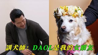 向愛犬說再見有多困難，姜訓犬師和愛犬Daol的故事（從相遇到離別，催人淚下）