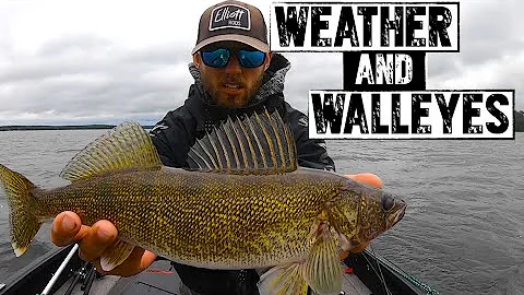 How Does Weather Affect Walleye Fishing - DayDayNews