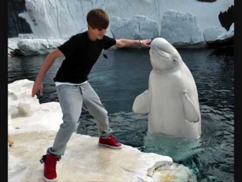 I fell inlove with my enemy Ch.8 (A Justin Bieber ...