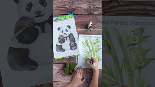 🐼 Panda Hands-On Counting | Screen-Free Learning Ideas