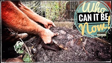 Big Mystery Turtle Buried in the MUD!