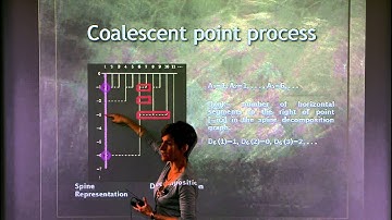 Ancestral Features of Multitype Branching Trees