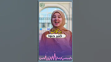 لحظه ميلاد طه الحبيب المنشدة ندى محمود 