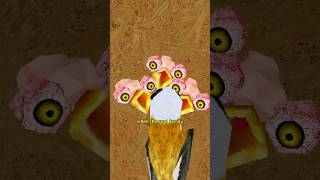 Bird Builds Fake Nest