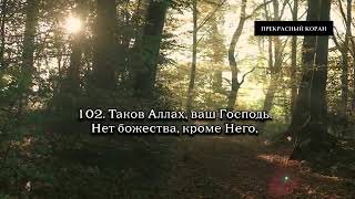 Красивое чтение Корана🍃 Чтец Ибрахим Аль- Асири - Сура 6: 102-110 аят.