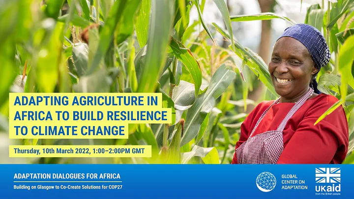 Highlights: Adapting agriculture in Africa to build resilience to climate change