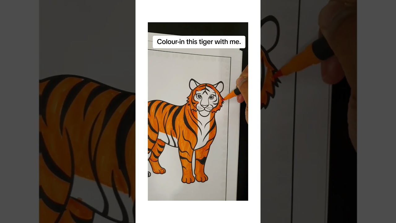 Easy Animal Colouring Book - Bold Tiger Calm Colouring, ASMR 