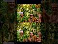 PULI SONG DANCE DMK FAMILY VERSION