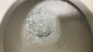 198X HCG 沖水馬桶