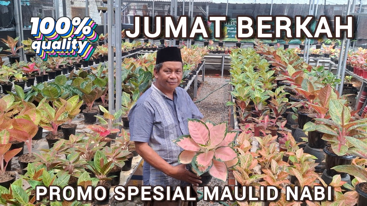 DISKON JUMAT BERKAH !!! WEEKEND SALE SALE SALE !!!