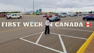 My first week in Canada(Nova Scotia) 🇨🇦| SIN, bank acct, new sim card, shopping, my apartment & more