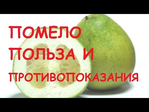 Помело фрукт.  Полезные свойства и противопоказания.