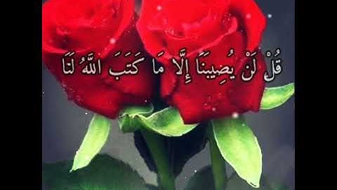 قل لن يصيبنا إلا ما كتب الله لنا حالات واتساب قرآن كريم احمد العجمي