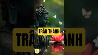 TRÂN THÀNH #buddha #tinhhoaphatphap #trending #adidaphat #tamtubi #hanhphuc #loiphatday #tranthanh