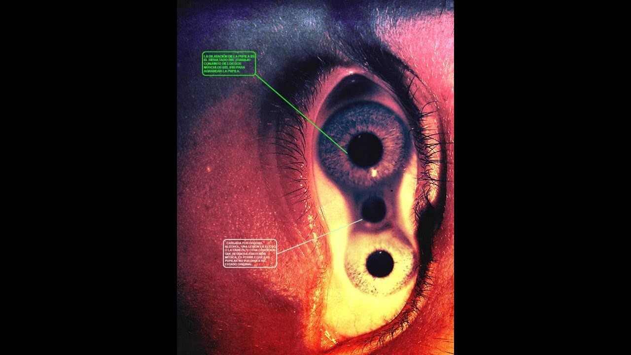 [FREE] Playboi Carti x Destroy Lonely Type Beat "ROBLOX"| 2023 | (Prod. OPCMAL)