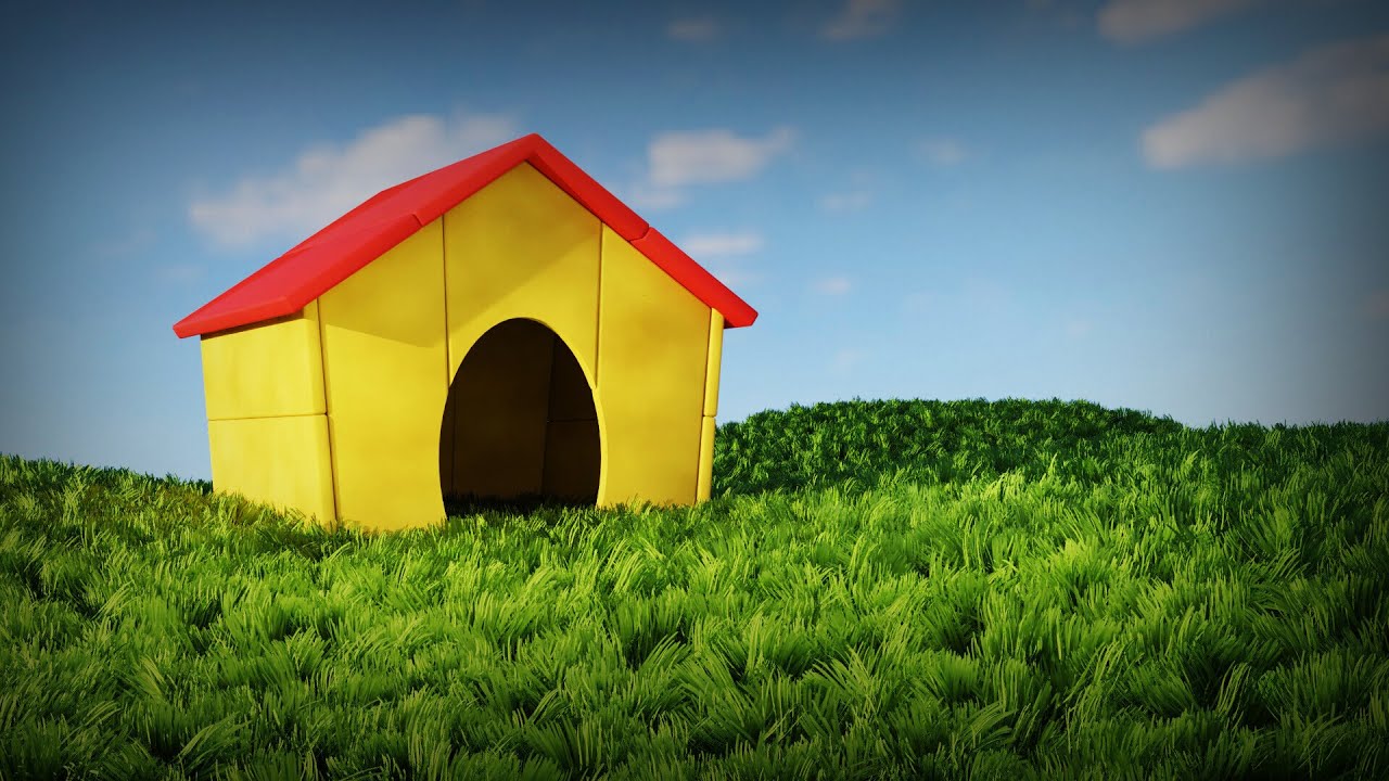 The Doghouse YouTube