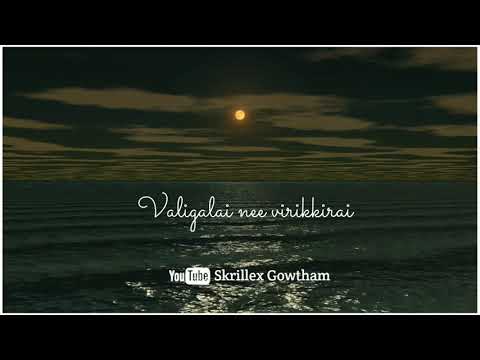 tamil_love_feel_whats_app_status_video-💞suththuthey-suthuthey-boomi💞paiyaa-movie💞#skrillexgowtham