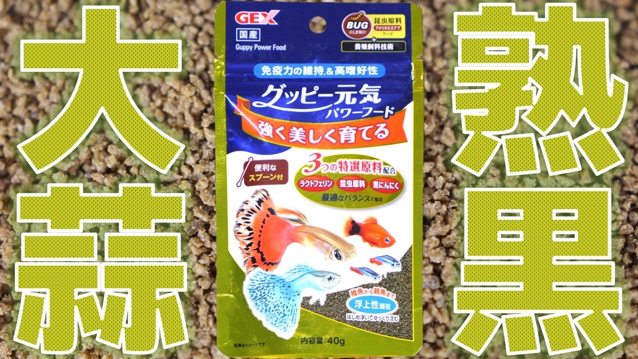 【餌】魚粉からの脱却としてニンニクを熟成させ昆虫も入れすぎないよう配慮し飽きが起こりにくいよう仕上がりました。粘液も130％UPします。GEX グッピー元気パワーフード40g【ふぶきテトラ】