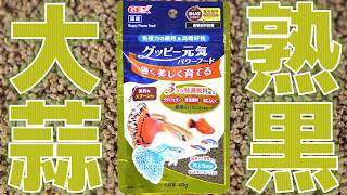 【餌】魚粉からの脱却としてニンニクを熟成させ昆虫も入れすぎないよう配慮し飽きが起こりにくいよう仕上がりました。粘液も130％UPします。GEX グッピー元気パワーフード40g【ふぶきテトラ】
