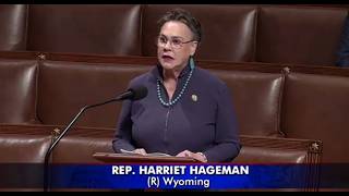 Hageman Fights for Wyoming Refiners Against E15 Mandate