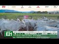 LOTE E21