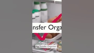 Automatic Scrolling Egg Rack Holder Storage Box. Buy Link In Bio #eggstorage