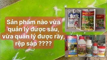 Tổng hợp các dòng thuốc vừa quản lý được sâu, vừa quản lý được rầy #saurieng #durian #sâu #rầy