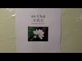 How To Say Jasmine Flower In Mandarin Chinese茉莉花 How To Say Jasmine Flower In Mandarin Chinese茉莉花