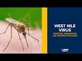 West Nile Virus: Symptoms, Risks and Prevention | UC Davis Health