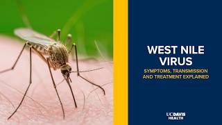 West Nile Virus Found in California: Symptoms, Risks and Prevention | UC Davis Health