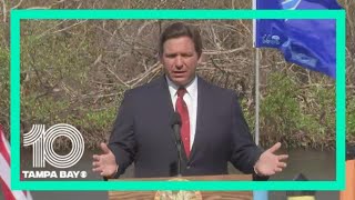 DeSantis: 'People just need to chill out' about potential 2024 face-off between him, Trump