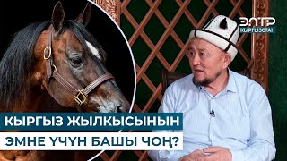 картинка: КЫРГЫЗ ЖЫЛКЫСЫНЫН ЭМНЕ ҮЧҮН БАШЫ ЧОҢ? // МУРАС САБАТЫ
