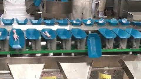 chickent feet/bone/fish sorting machine by weight