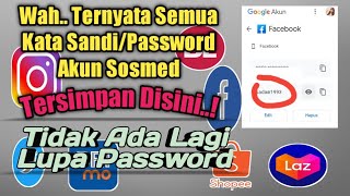How to View All Social Media Account Passwords in Google Account