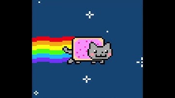 Nyan cat timelapse