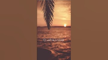 ”سورة قريش بصوت الشيخ ماهر المعيقلي🤍“