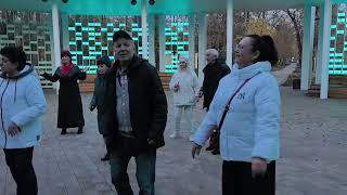 Паруса... 24.10.25...