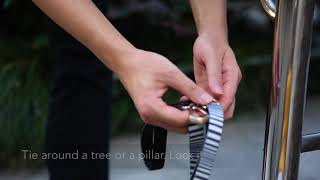 Multifunction leash - Temporary tie out