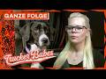 Neuer Beifahrer für Manu! So süß ist ihr LKW-Hund "Gin" 🐶 | GANZE FOLGE | Trucker Babes