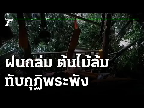 ฝนถล่มเมืองคอน ทำกุฏิพระพัง สวนยางโค่นกว่าสิบไร่ | 10-07-65 | ข่าวเที่ยงไทยรัฐ เสาร์-อาทิตย์