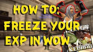 How to freeze your Exp in WoW